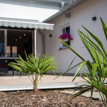 Ferienwohnung Philipp Traben-Trarbach Exteriör bild