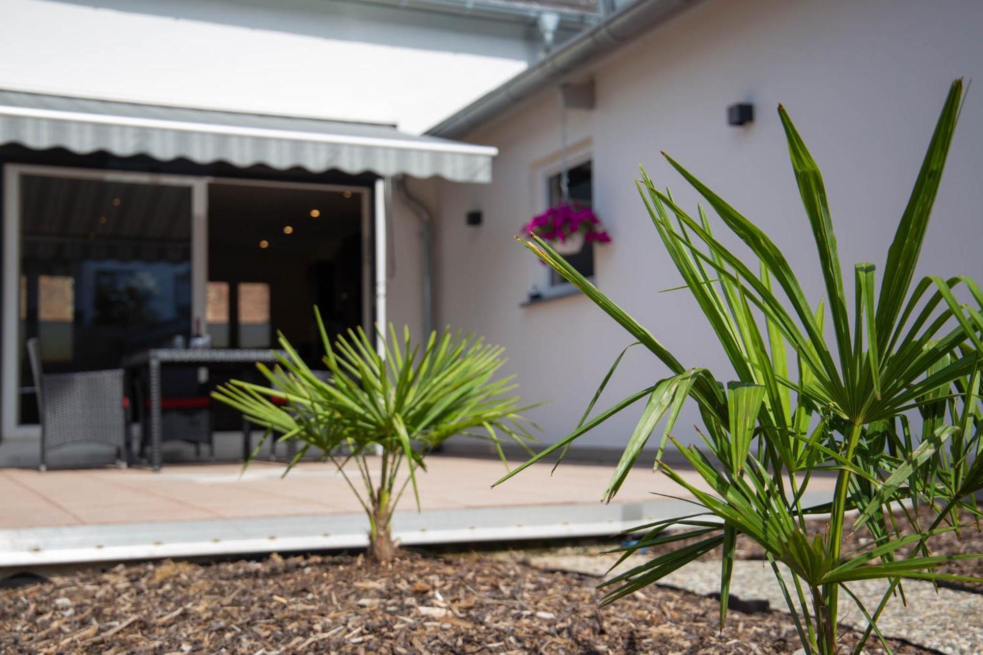 Ferienwohnung Philipp Traben-Trarbach Exteriör bild